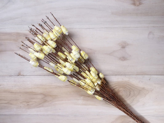 Butterflt Stick (5 Stems)